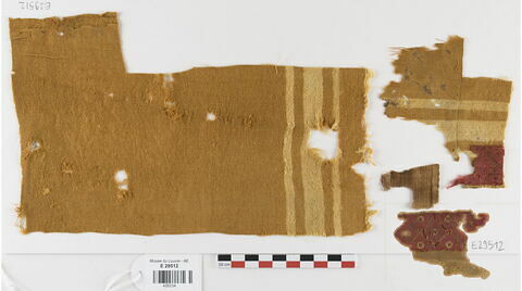 tunique  ; bande décorative d'habillement ; fragments