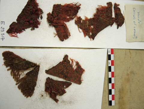 bande d'encolure ; fragments, image 3/4