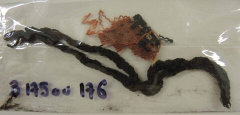 bande d'encolure ; fragments, image 4/4