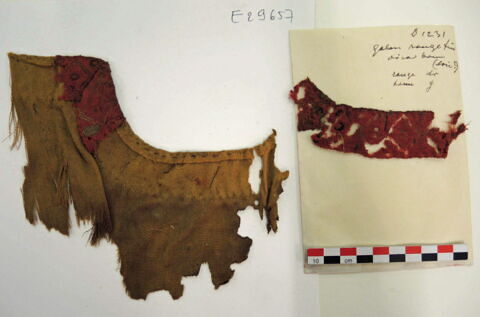 bande d'encolure ; fragments, image 2/2