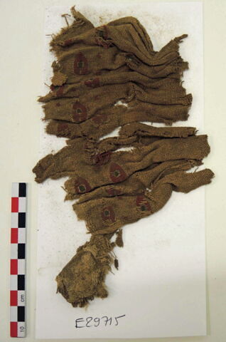 décor de textile ; fragment, image 2/2