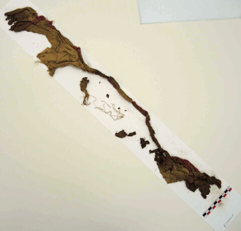 tunique ; bande décorative d'habillement ; fragments, image 2/2