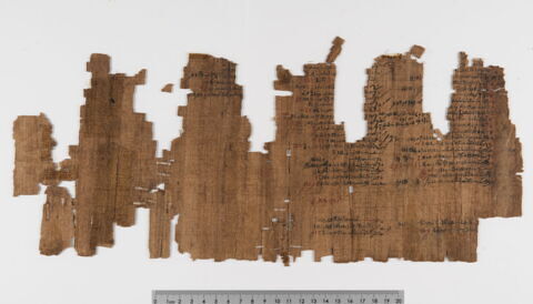 papyrus documentaire, image 2/5