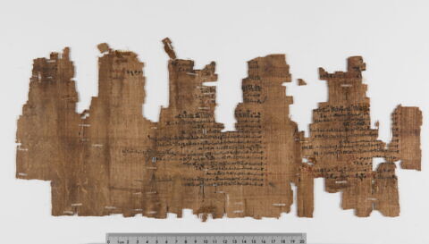 papyrus documentaire, image 3/5
