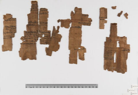 papyrus documentaire