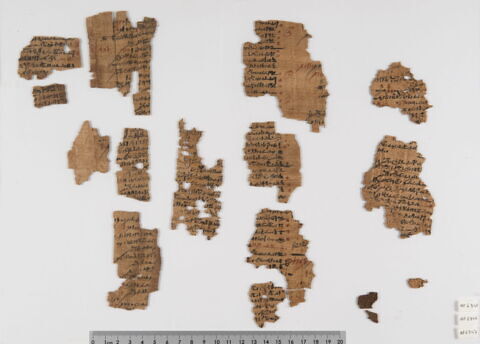 papyrus documentaire, image 4/5