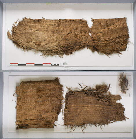 tissu ; fragments