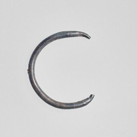 anneau ; fragment