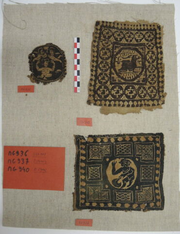 tabula ; orbiculus ; fragments, image 3/3