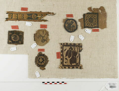 orbiculus ; tabula ; bande décorative d'habillement ; fragments, image 1/2