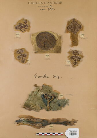 orbiculus ; clavus ; décor de textile