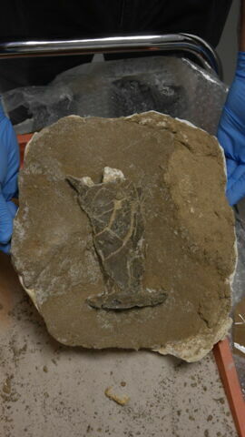 flacon urinal, fragment, image 2/2