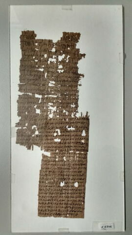 papyrus