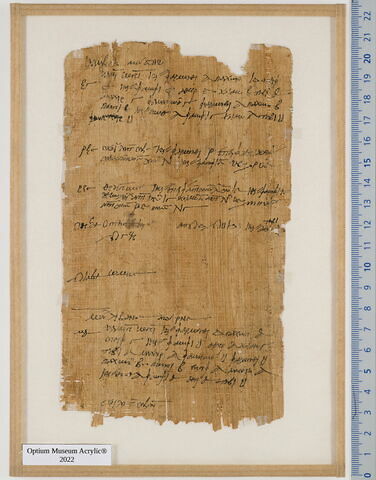 papyrus documentaire, image 2/2
