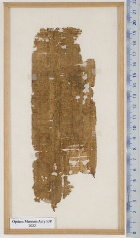 papyrus, image 2/2