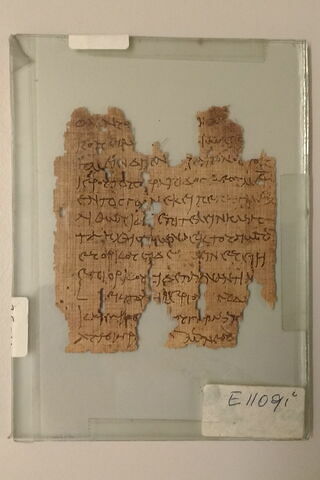 papyrus