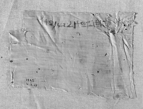 linceul, image 2/2