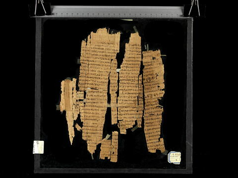 Papyrus Mimaut, image 1/1