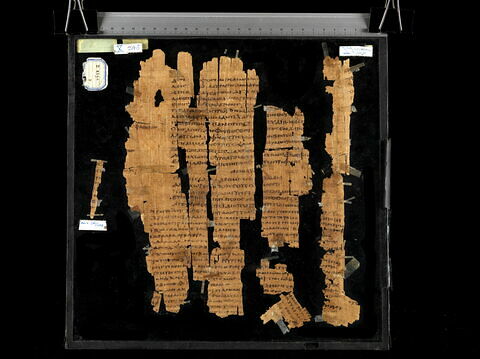Papyrus Mimaut