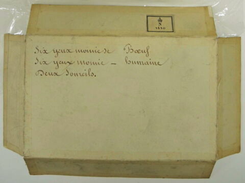écheveau ; fragments, image 2/5
