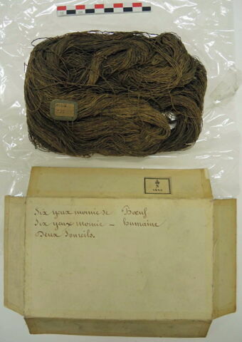 écheveau ; fragments, image 4/5