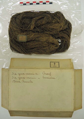 écheveau, image 2/2