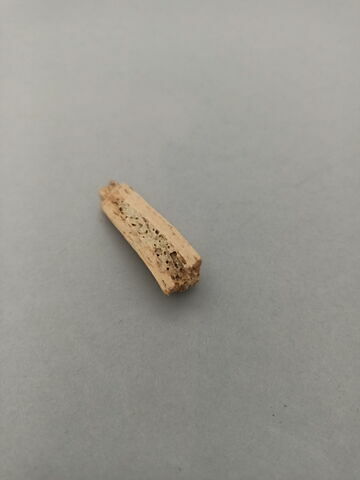 manche, fragment, image 2/2