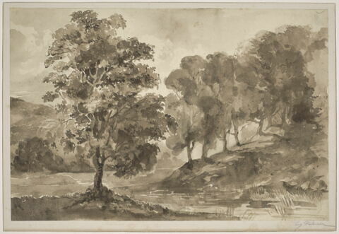 Paysage. Étude d'arbres près d'un ruisseau