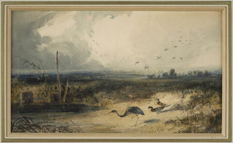 Oiseaux au bord d'un étang