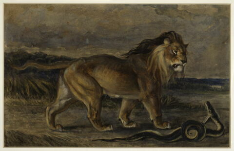 Lion et serpent