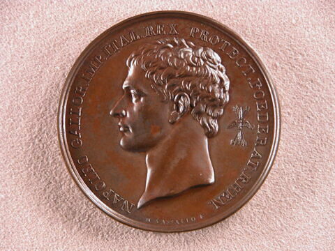 Bataille de Ratisbonne, 1809, image 3/3