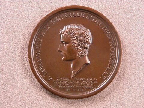 Hommage des Lyonnais à Bonaparte pour l'obtention de la paix générale, 18 brumaire an X (9 novembre 1801)