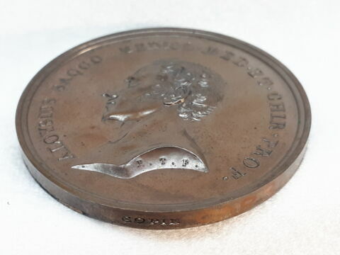 Hommage à Luigi Sacco, médecin et chirurgien, 1802, image 2/4