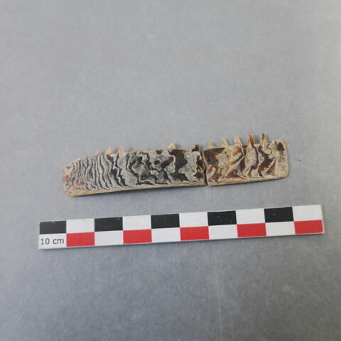 peigne, fragment, image 2/2