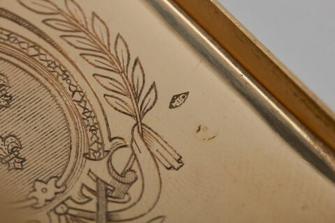 Tabatière à décor de feuilles d’acanthe, image 9/15