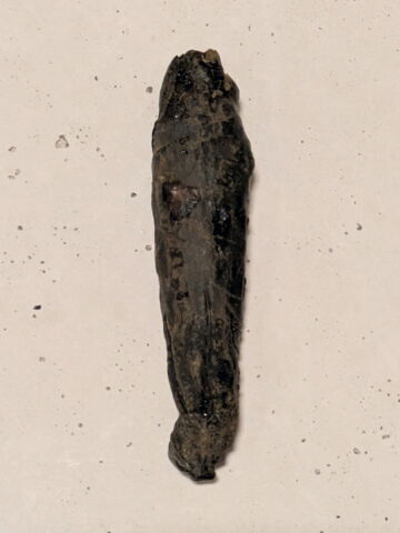 figurine de fils d'Horus, image 2/2