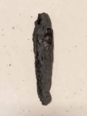 figurine de fils d'Horus