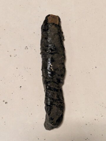 figurine de fils d'Horus, image 2/2