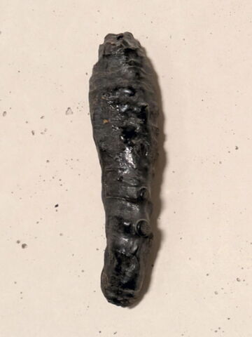 figurine de fils d'Horus, image 2/2