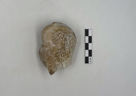 indéterminé, image 2/5