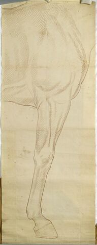 Jambe droite du cheval de la statue équestre de Louis XV, image 1/1