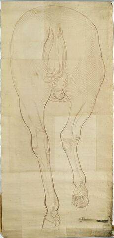 L'arrière train du cheval de la statue équestre de Louis XV, image 1/1