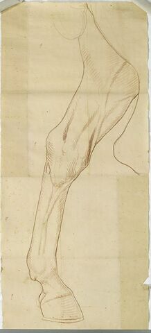 La patte gauche du cheval de la statue équestre de Louis XV