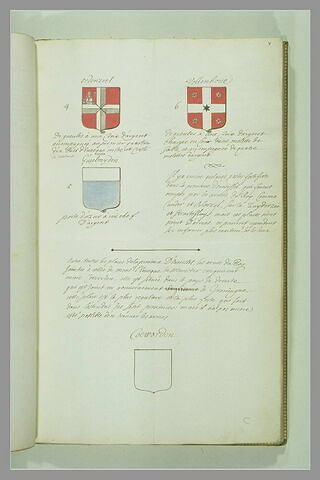 Page d'armorial, image 1/1