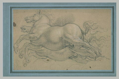 Deux chevaux, de profil, galopant vers la gauche, image 1/1