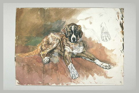 Marco, le chien saint Bernard de l'artiste