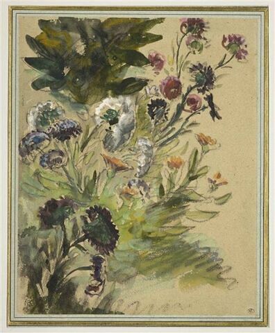 Etude de fleurs : soucis, hortensias et reines marguerites, image 1/2