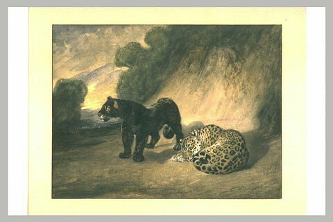 Deux jaguars du Pérou, image 1/1