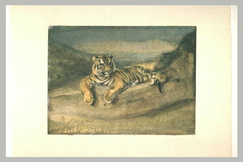 Tigre couché, pattes pendantes, image 1/1