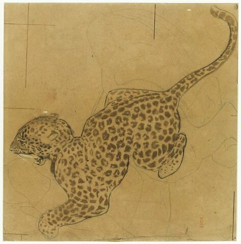 Jaguar bondissant vers la gauche, la gueule ouverte, image 1/2